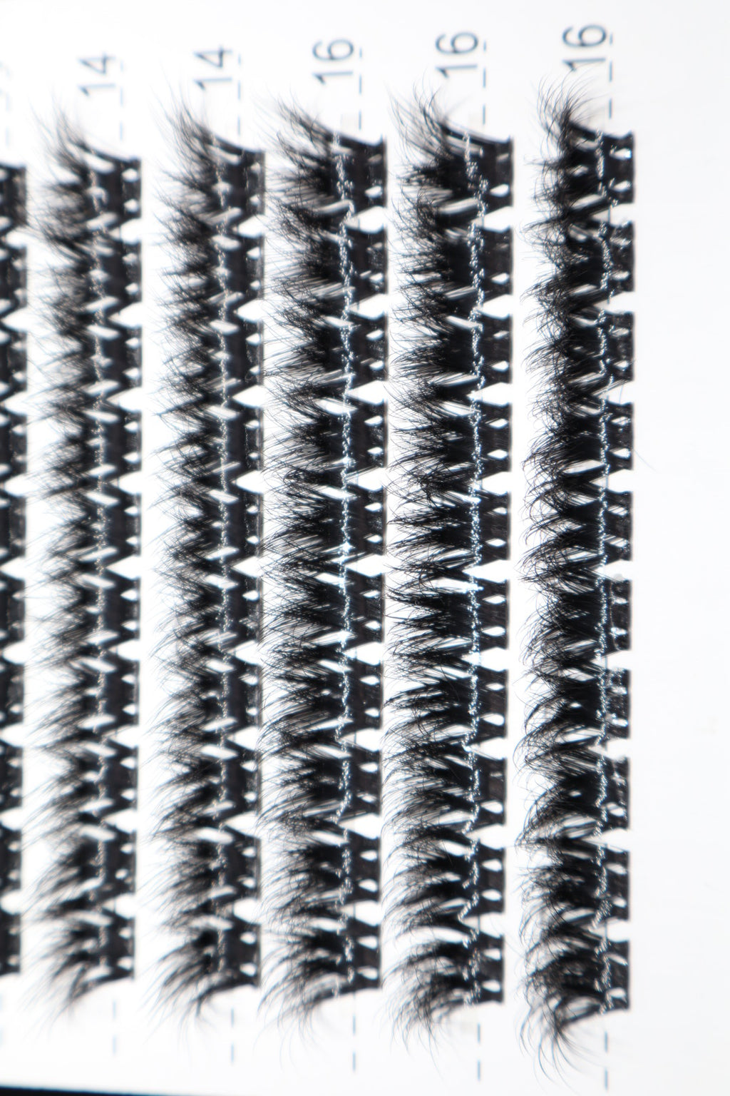 Lash Cluster Kit