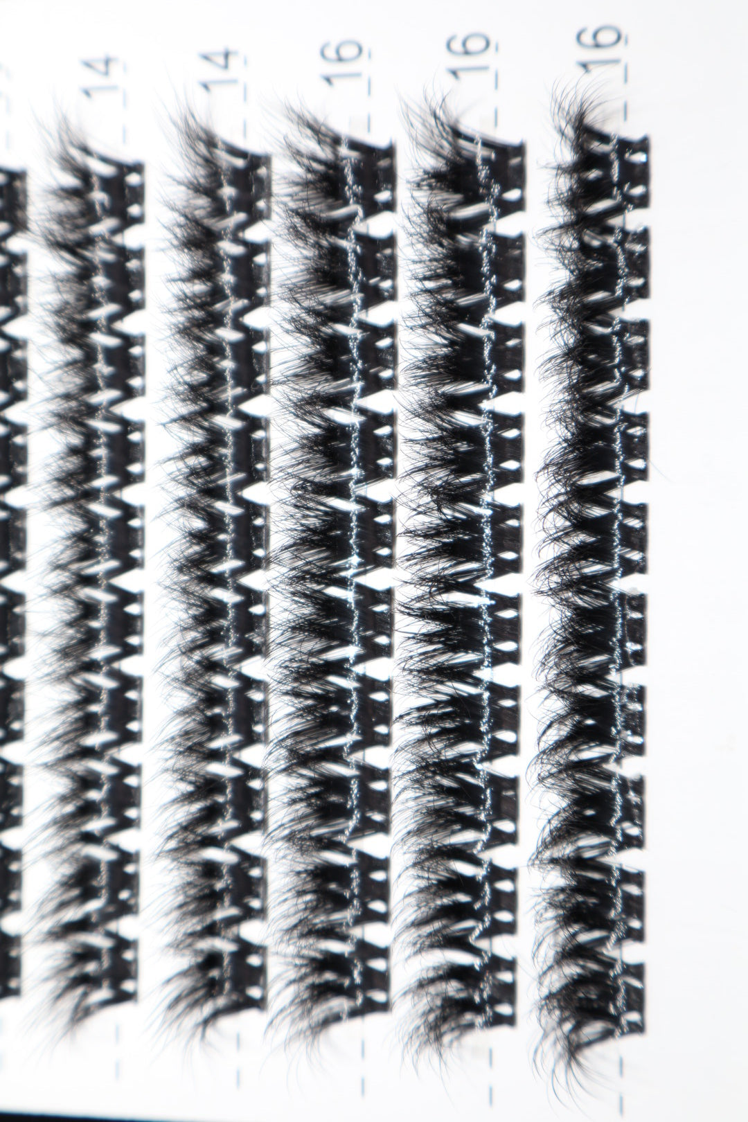 Lash Cluster Kit