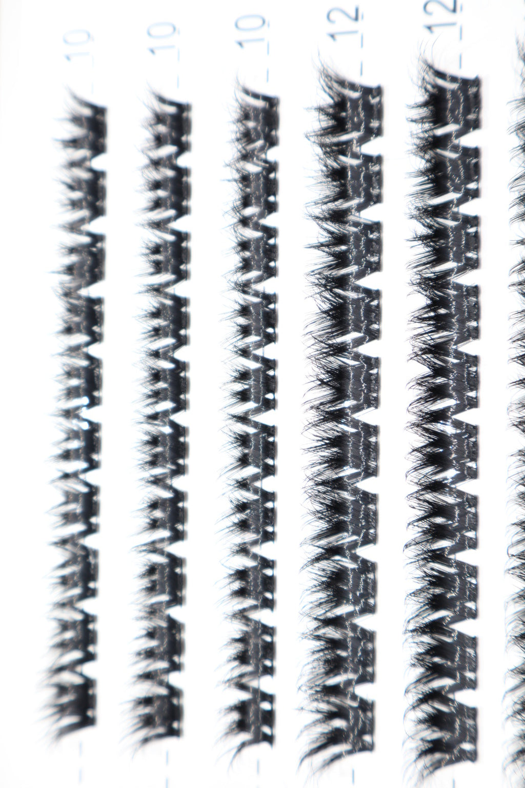 Lash Cluster Kit
