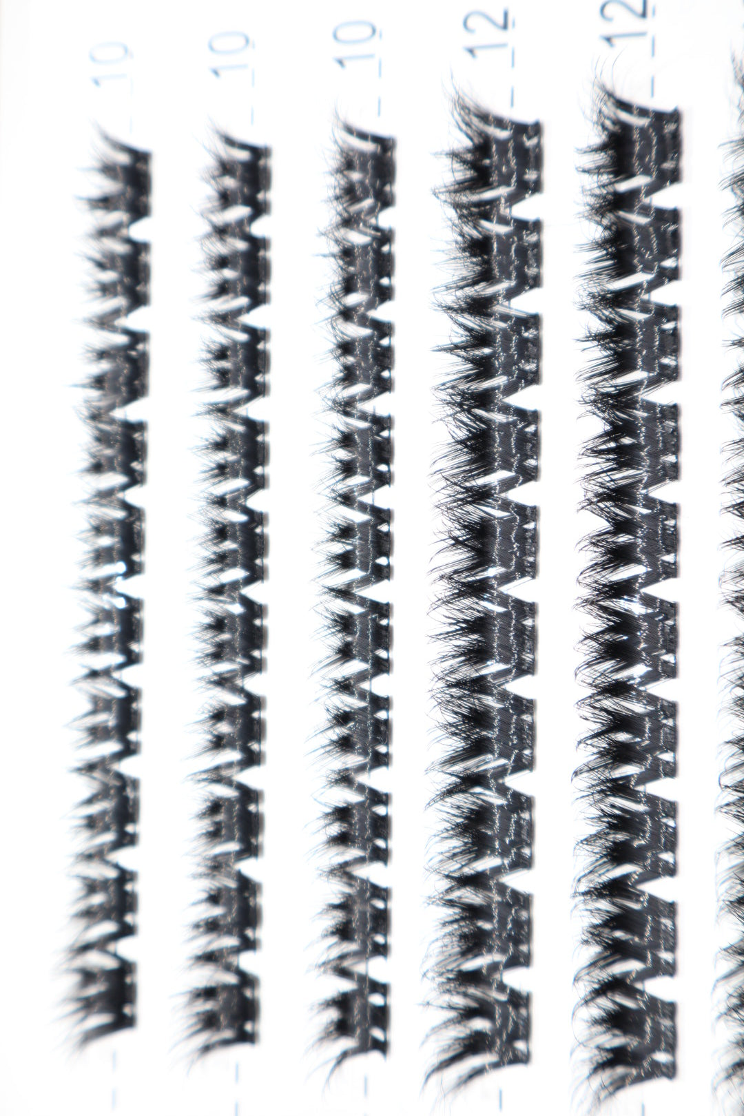 Lash Cluster Kit